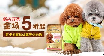 钻石宠物最新爆料下载,揭秘神秘新品，引领宠物市场新潮流  第3张